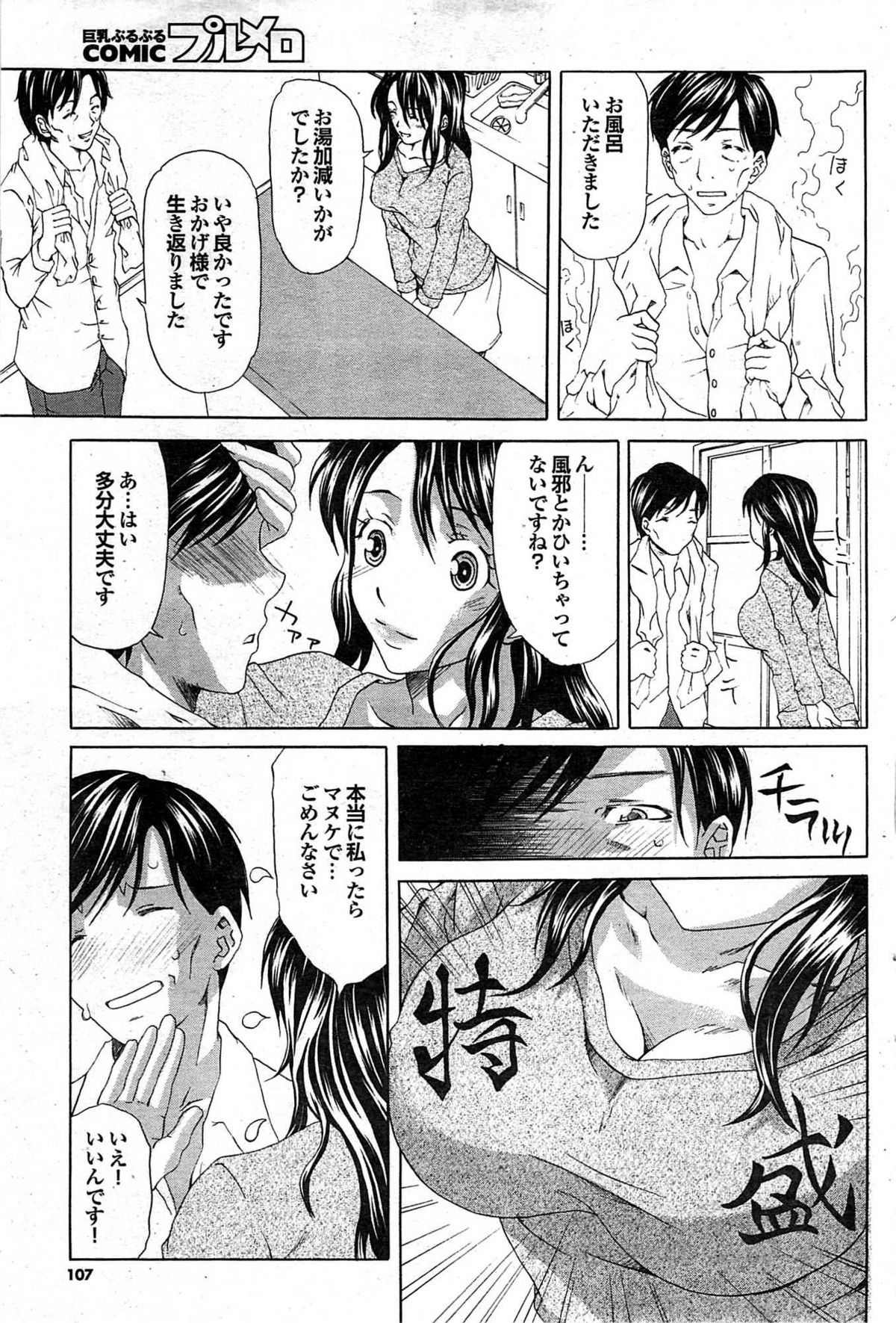 COMIC プルメロ 2008年02月号 vol.14