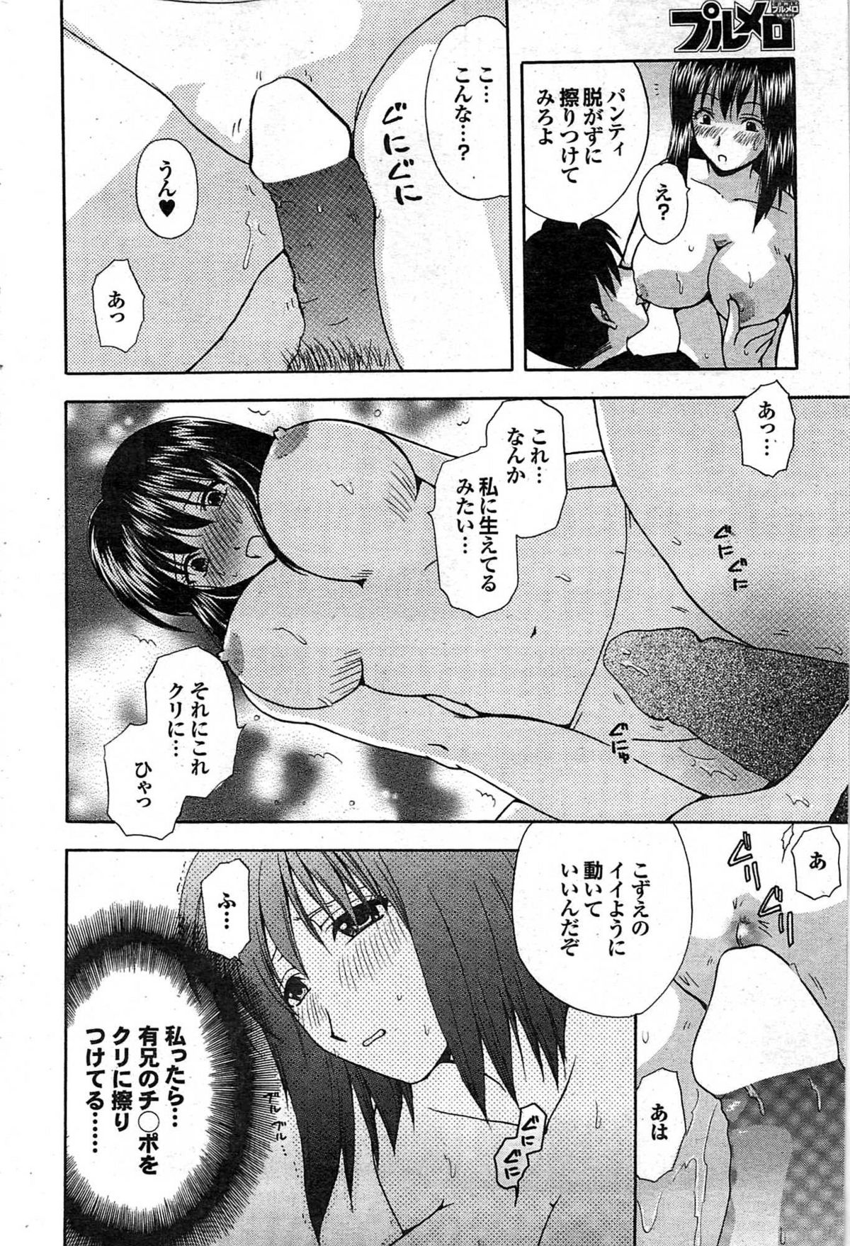 COMIC プルメロ 2008年02月号 vol.14