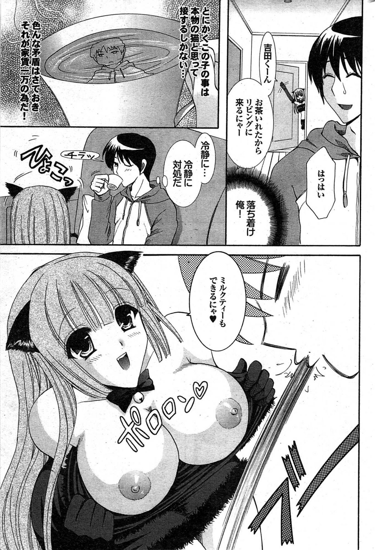 COMIC プルメロ 2008年02月号 vol.14