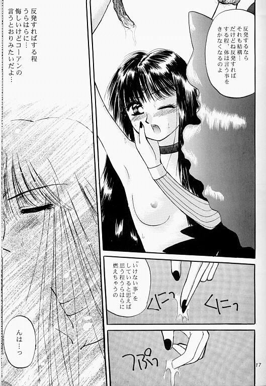 月光 (美少女戦士セーラームーン)