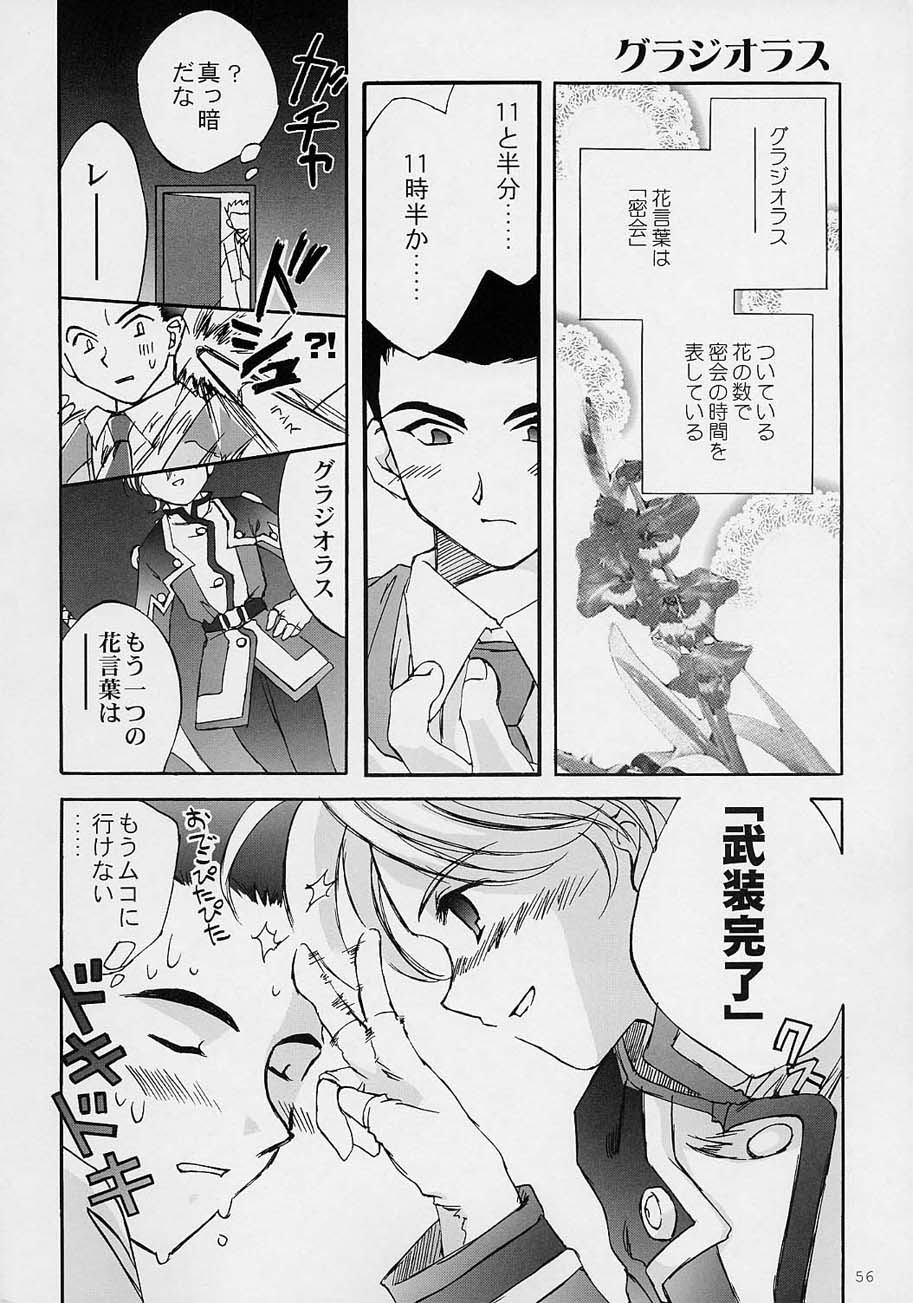 (C59) [ルナフェアリーミーナ (うさぎ)] LFM -refine- (サクラ大戦)