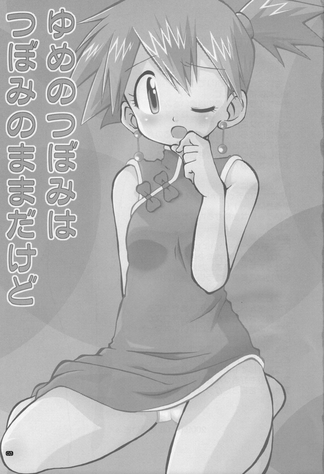 [うっかり堂 (島津いさみ)] ゆめのつぼみはつぼみのままだけど (ポケットモンスター)