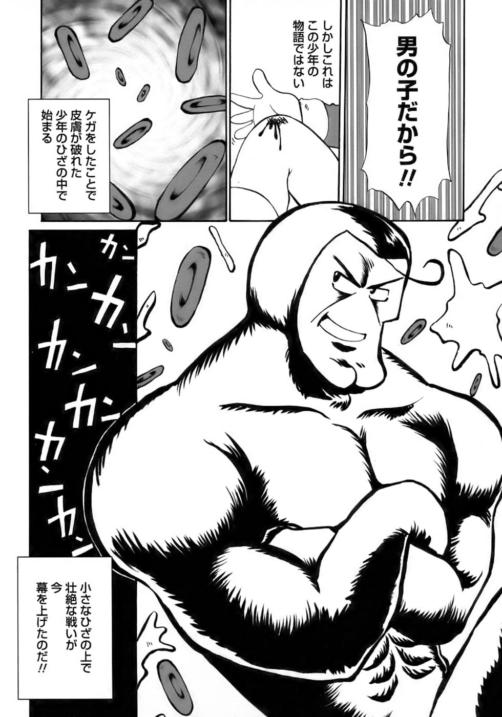 [アンソロジー] 少年愛の美学17 THEわんぱく少年