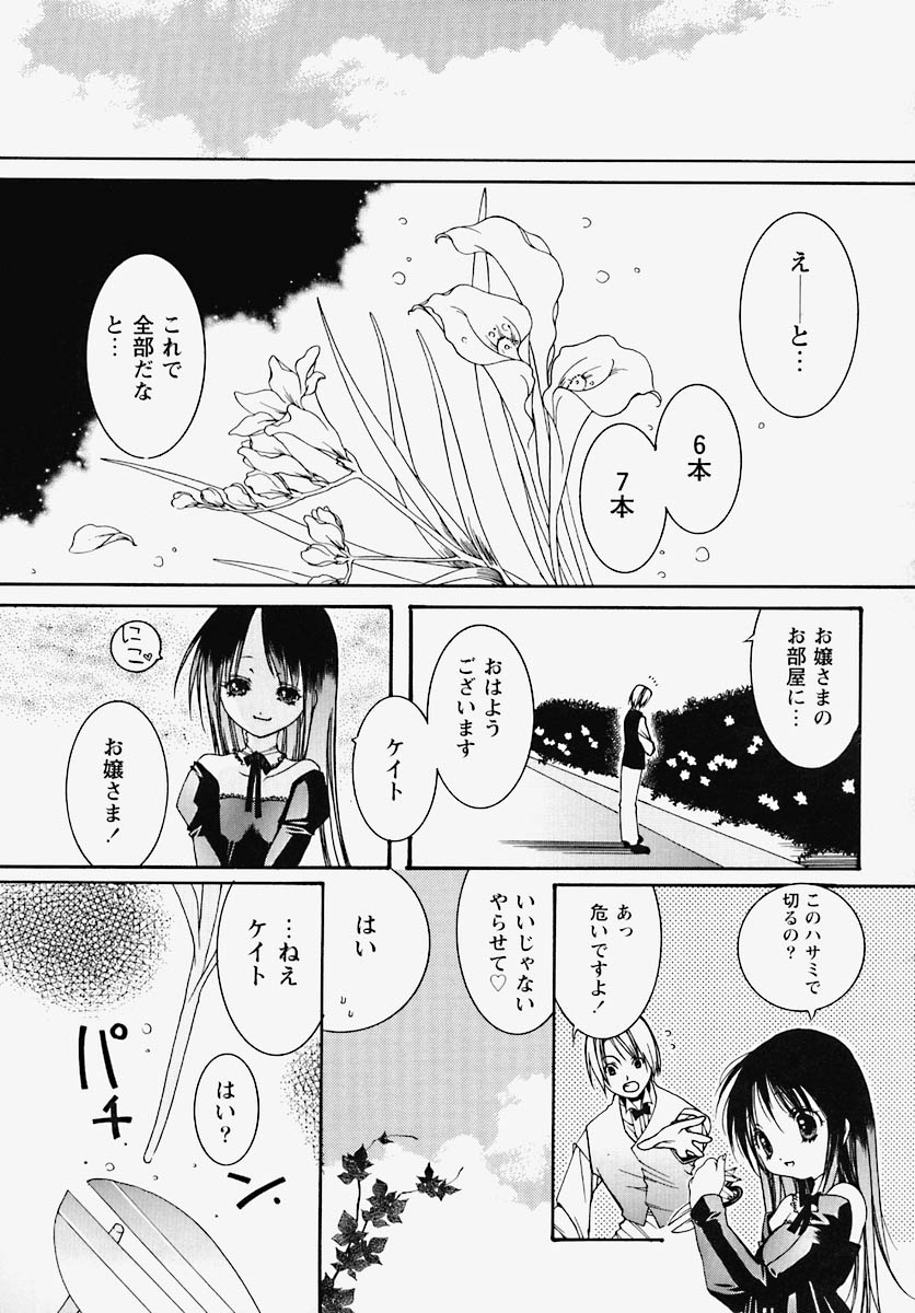 [芥川義澄] 淫乱感染源