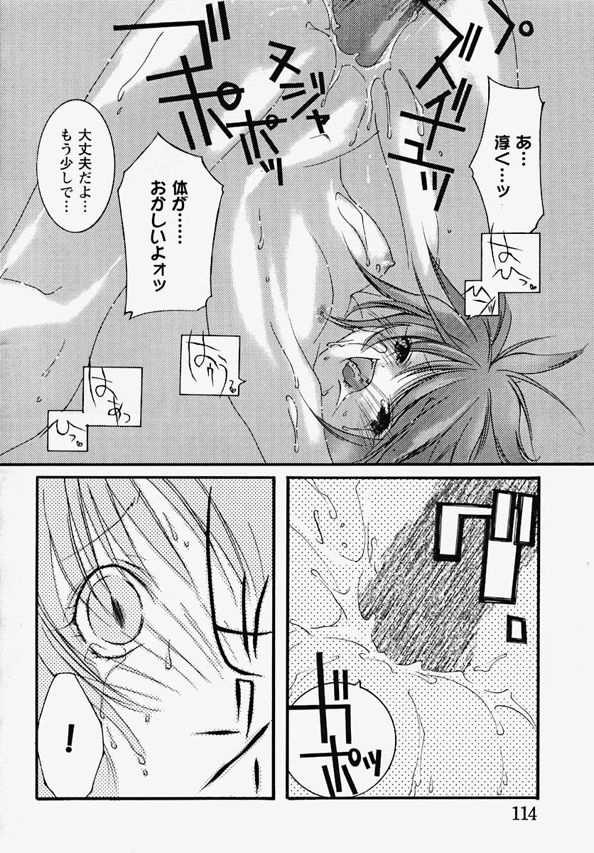 [芥川義澄] 淫乱感染源