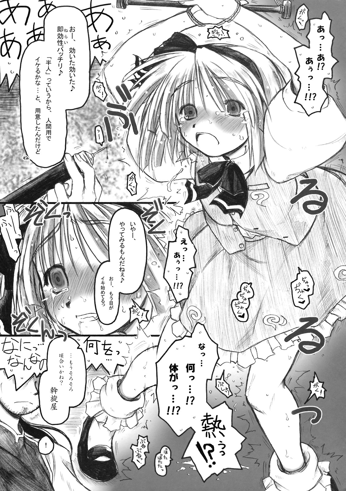 (崇敬祭) [暗黒暴走組 (アイヌマニア)] 非運ノ夢 (東方Project)