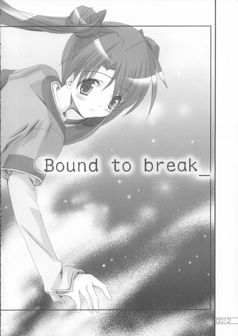(SC20) [逆煮屋工房 (やまもと卓仁)] Bound to Break (宇宙のステルヴィア)