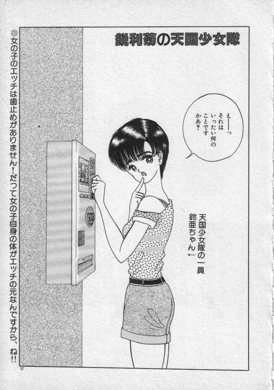 [鋭利菊] レイニーシーズン