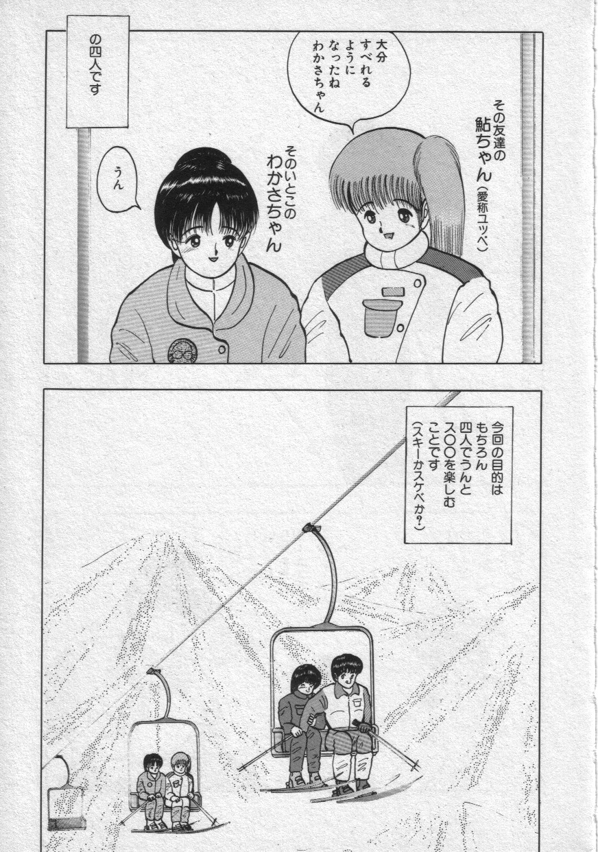 [鋭利菊] レイニーシーズン