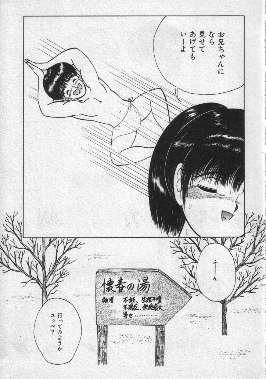 [鋭利菊] レイニーシーズン