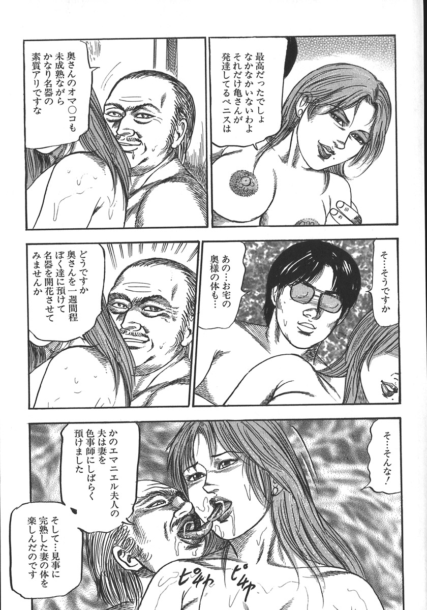 [三条友美] 若妻陵辱奴隷