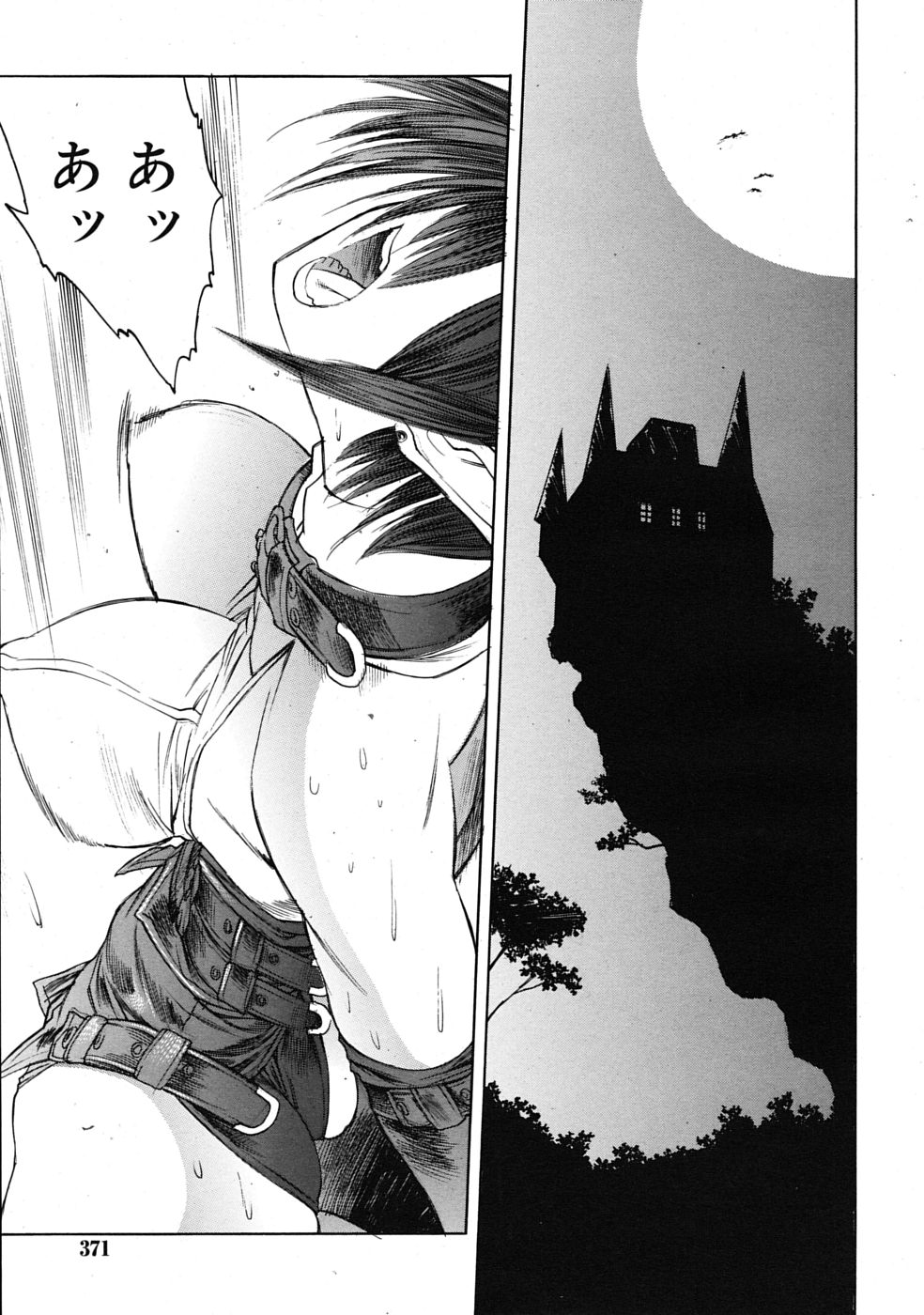 COMIC RiN 2009年08月号