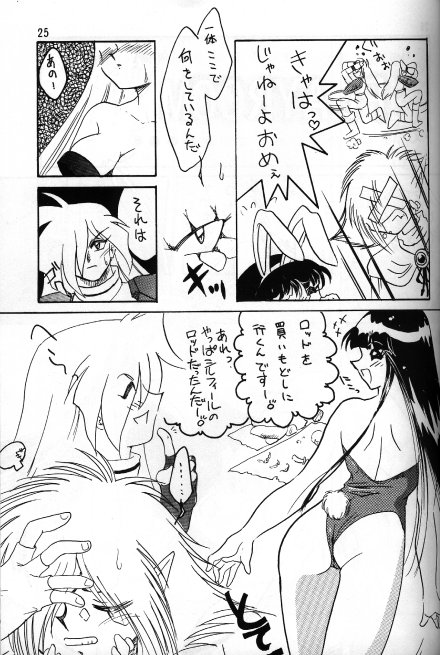 [銀桃堂 (みたさとみ] Slayers Adult 5 (スレイヤーズ)