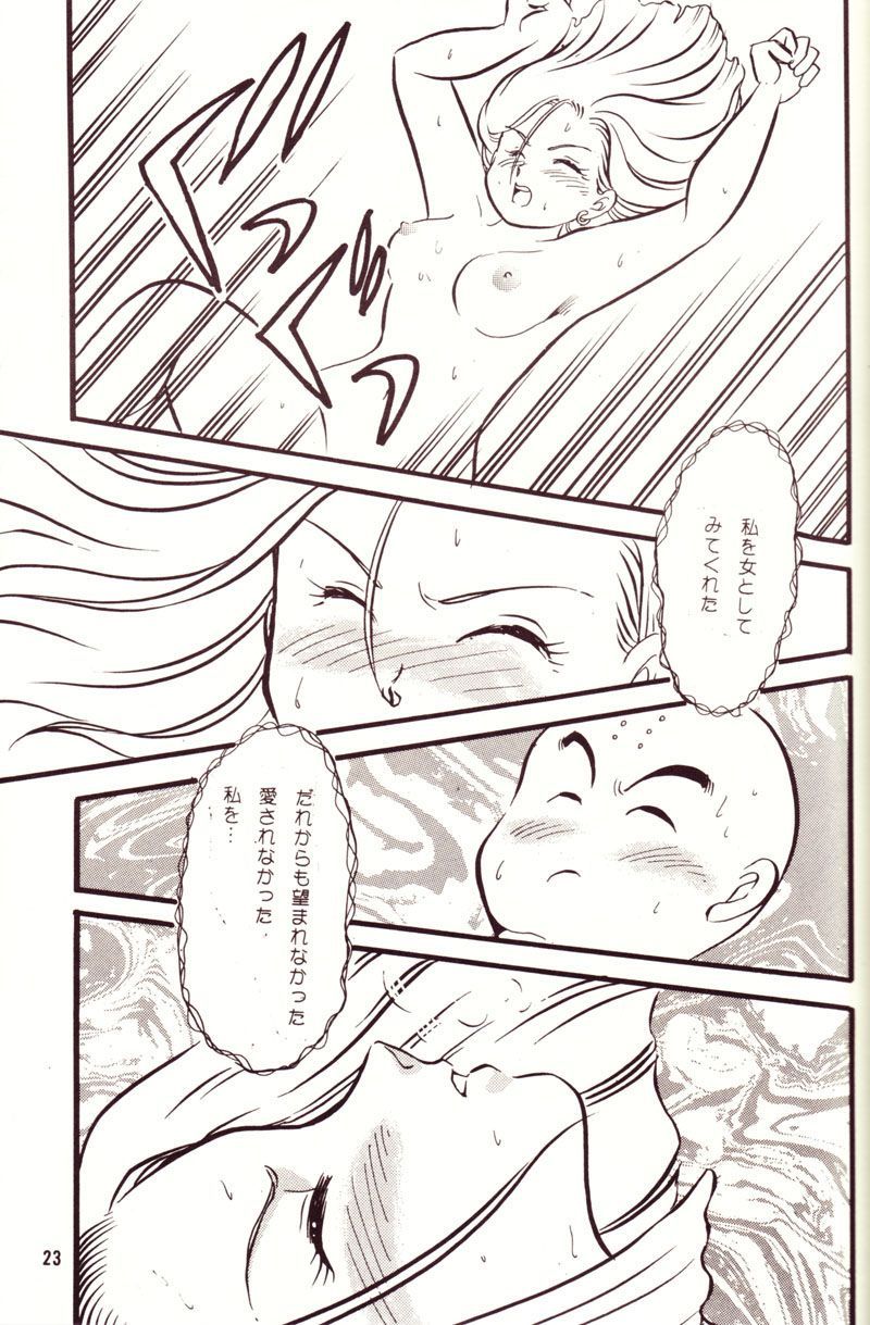 (C44) [Y.M.戦車 (よしだよしみ、松本姫美子)] 危険地帯 (ドラゴンボールZ)
