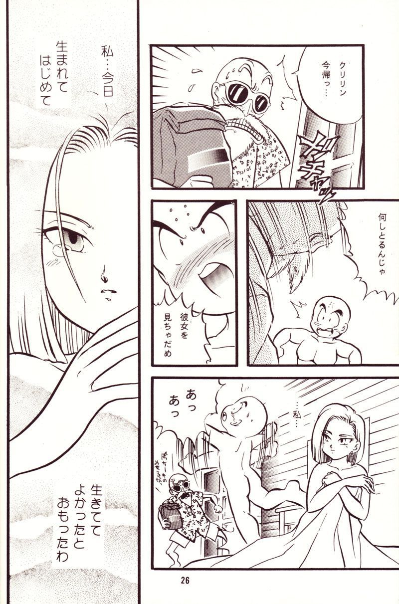 (C44) [Y.M.戦車 (よしだよしみ、松本姫美子)] 危険地帯 (ドラゴンボールZ)