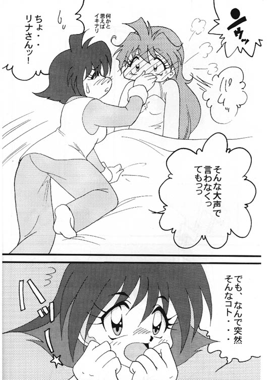 [銀桃堂 (みたさとみ] Slayers Adult 8 (スレイヤーズ)