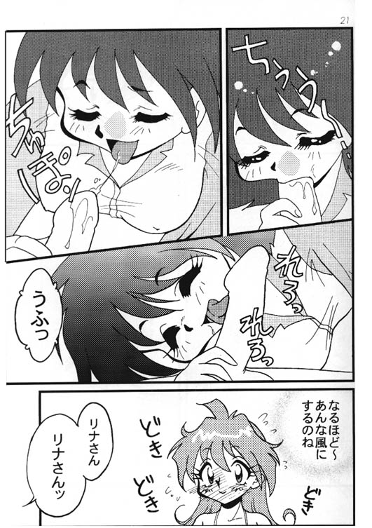[銀桃堂 (みたさとみ] Slayers Adult 8 (スレイヤーズ)