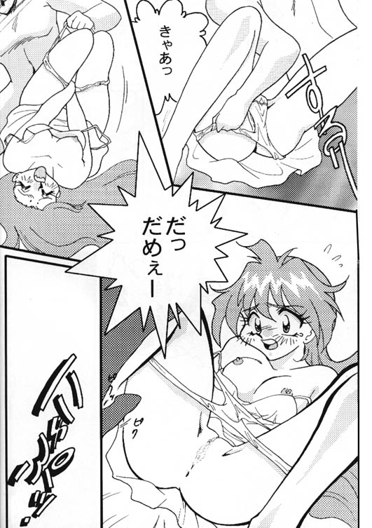 [銀桃堂 (みたさとみ] Slayers Adult 8 (スレイヤーズ)