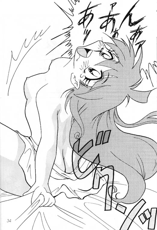 [銀桃堂 (みたさとみ] Slayers Adult 8 (スレイヤーズ)