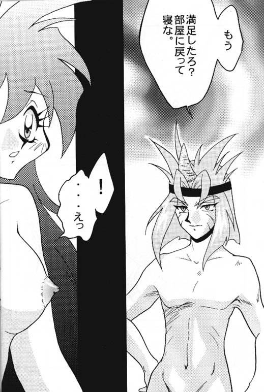 [銀桃堂 (みたさとみ] Slayers Adult 8 (スレイヤーズ)