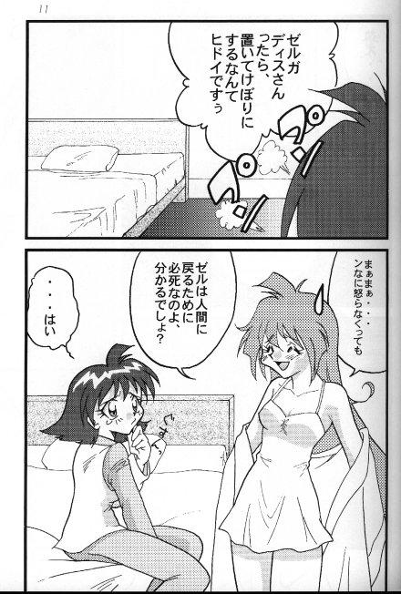 [銀桃堂 (みたさとみ] Slayers Adult 8 (スレイヤーズ)