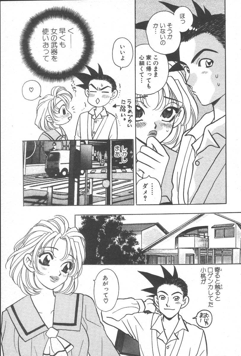 [小本田絵舞] もぎたて桃娘