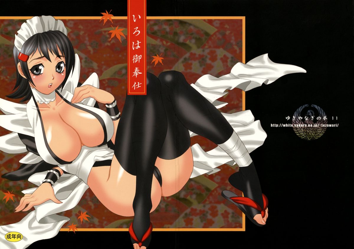 (C69) [シャルロット・ココ (ゆきやなぎ)] ゆきやなぎの本 11 いろは御奉仕 (サムライスピリッツ)