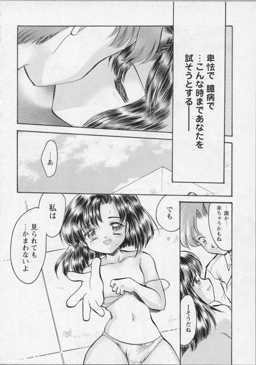 [アンソロジー] 美少女茶館