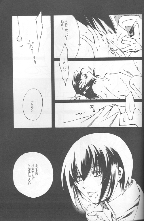 (C69) [ゆなぼん (しかばねクリスティーヌ)] 愚かしくて可哀想な (機動戦士ガンダムSEED DESTINY)