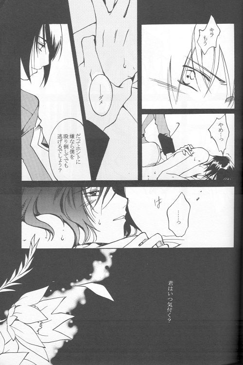 (C69) [ゆなぼん (しかばねクリスティーヌ)] 愚かしくて可哀想な (機動戦士ガンダムSEED DESTINY)