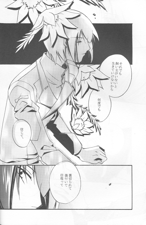 (C69) [ゆなぼん (しかばねクリスティーヌ)] 愚かしくて可哀想な (機動戦士ガンダムSEED DESTINY)