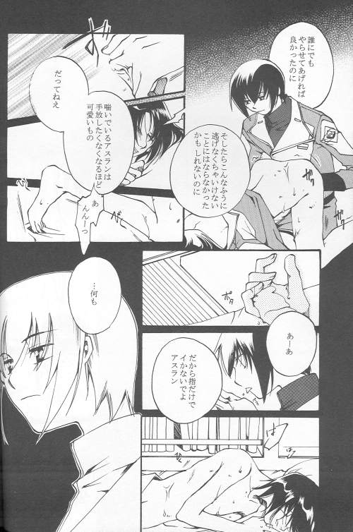 (C69) [ゆなぼん (しかばねクリスティーヌ)] 愚かしくて可哀想な (機動戦士ガンダムSEED DESTINY)