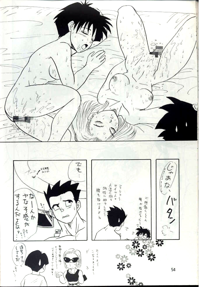 [ちり紙小屋, ふすま御殿 (障子張子)] YYY (ドラゴンボール)