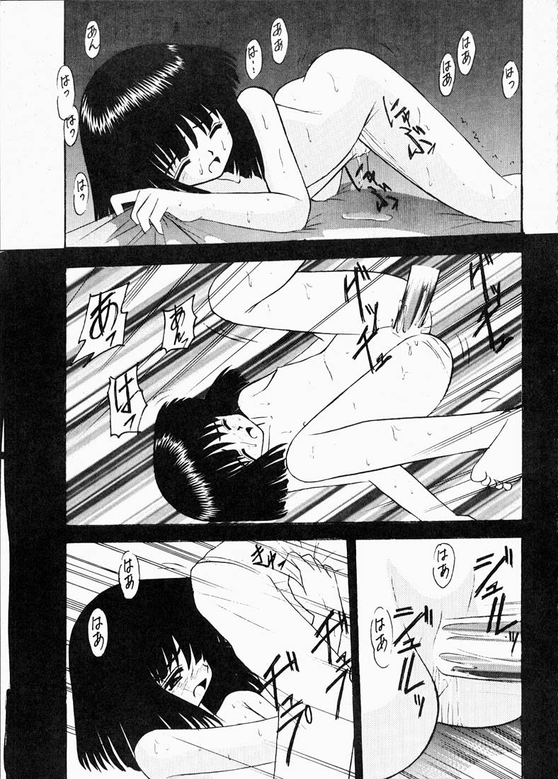 [浅野屋] 蛍II (セーラームーン)