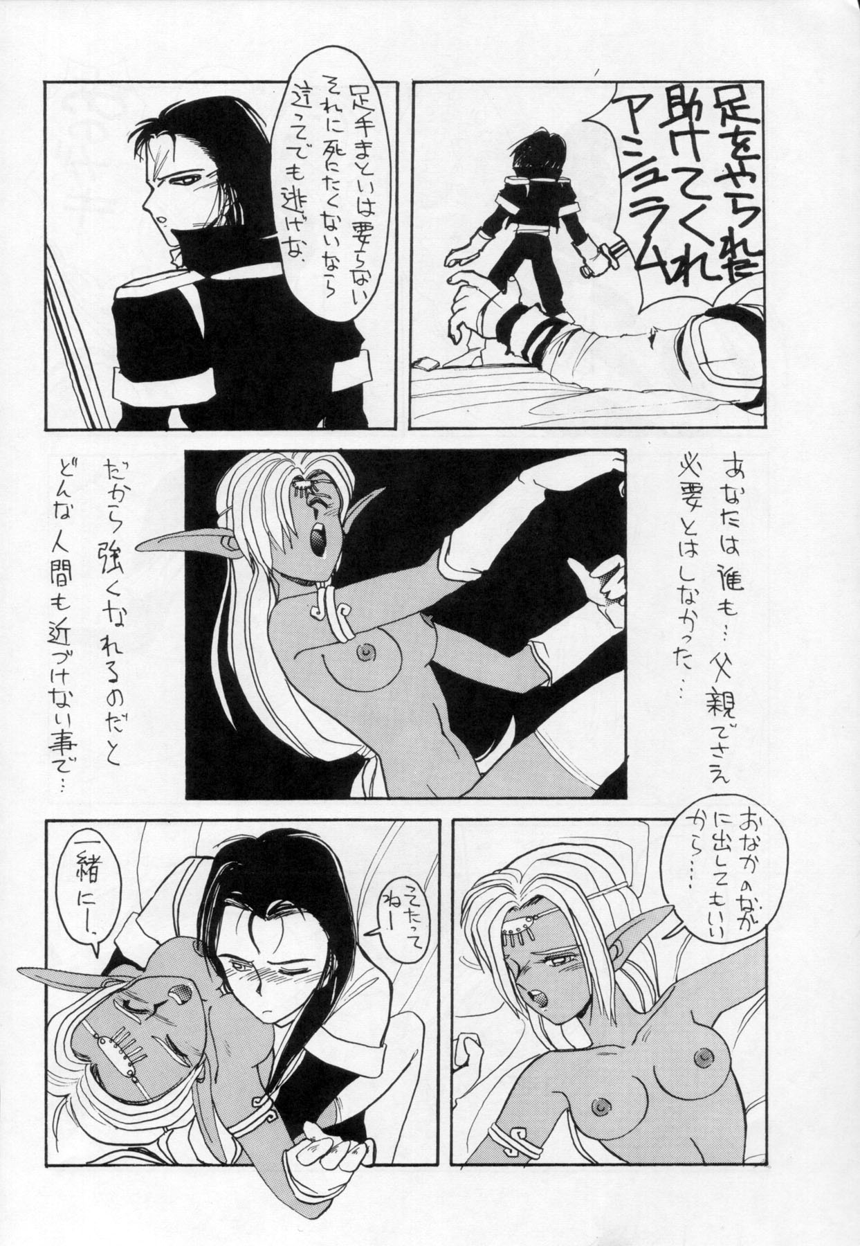 (C41) [ないとすとーかーず (Compiler, SHAMP侍)] ディードが野放し2 (ロードス島戦記)