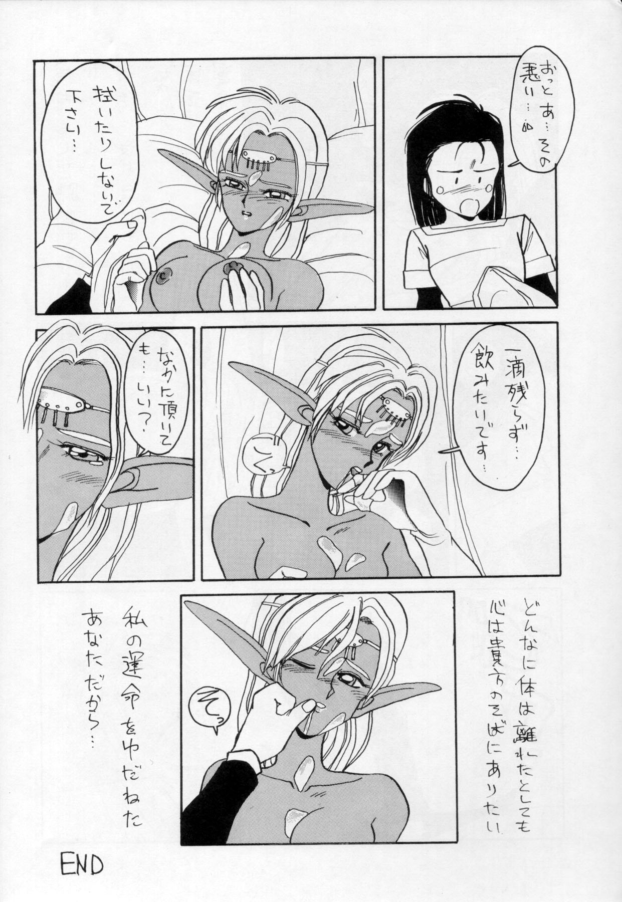 (C41) [ないとすとーかーず (Compiler, SHAMP侍)] ディードが野放し2 (ロードス島戦記)