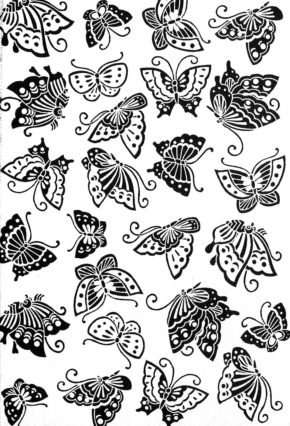 【辻辰也】かすみ_の森Vol.2