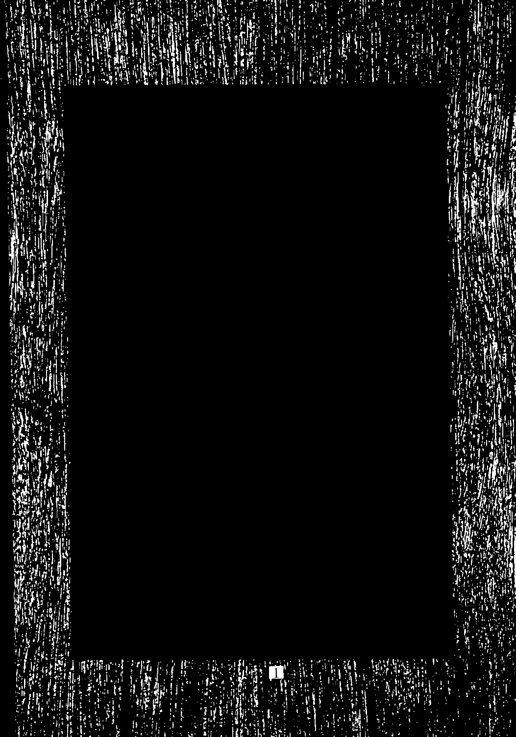 (C59) [聖リオ (キティ , 紅園寺麗)] ラブだし14 (ラブひな)