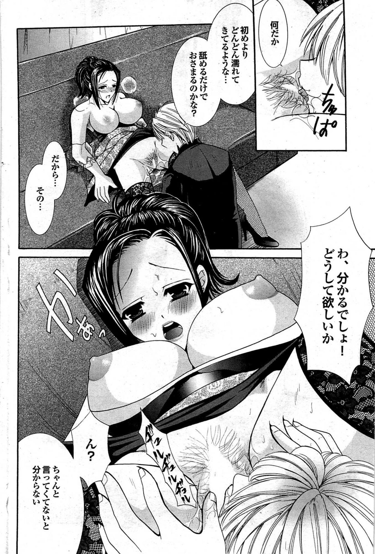 COMIC プルメロ 2007年12月号 vol.12