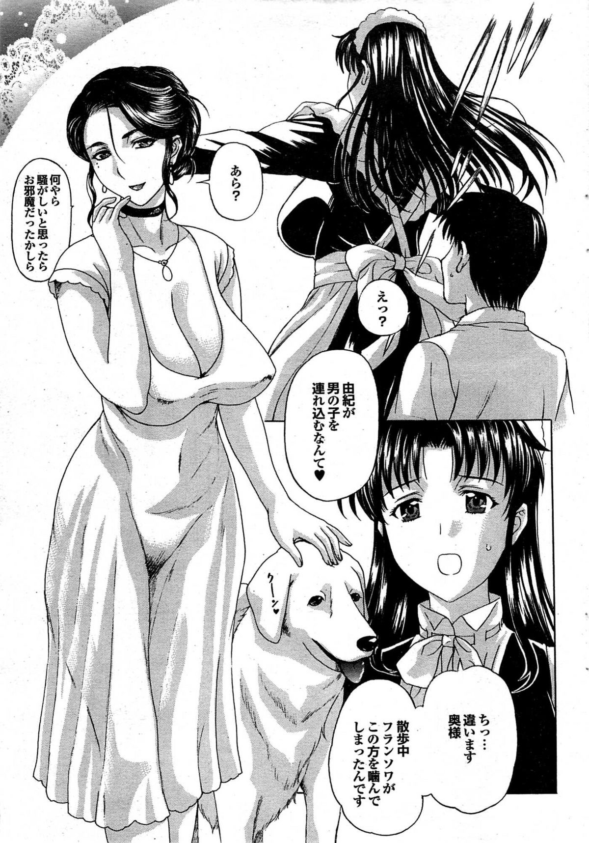 COMIC プルメロ 2007年12月号 vol.12