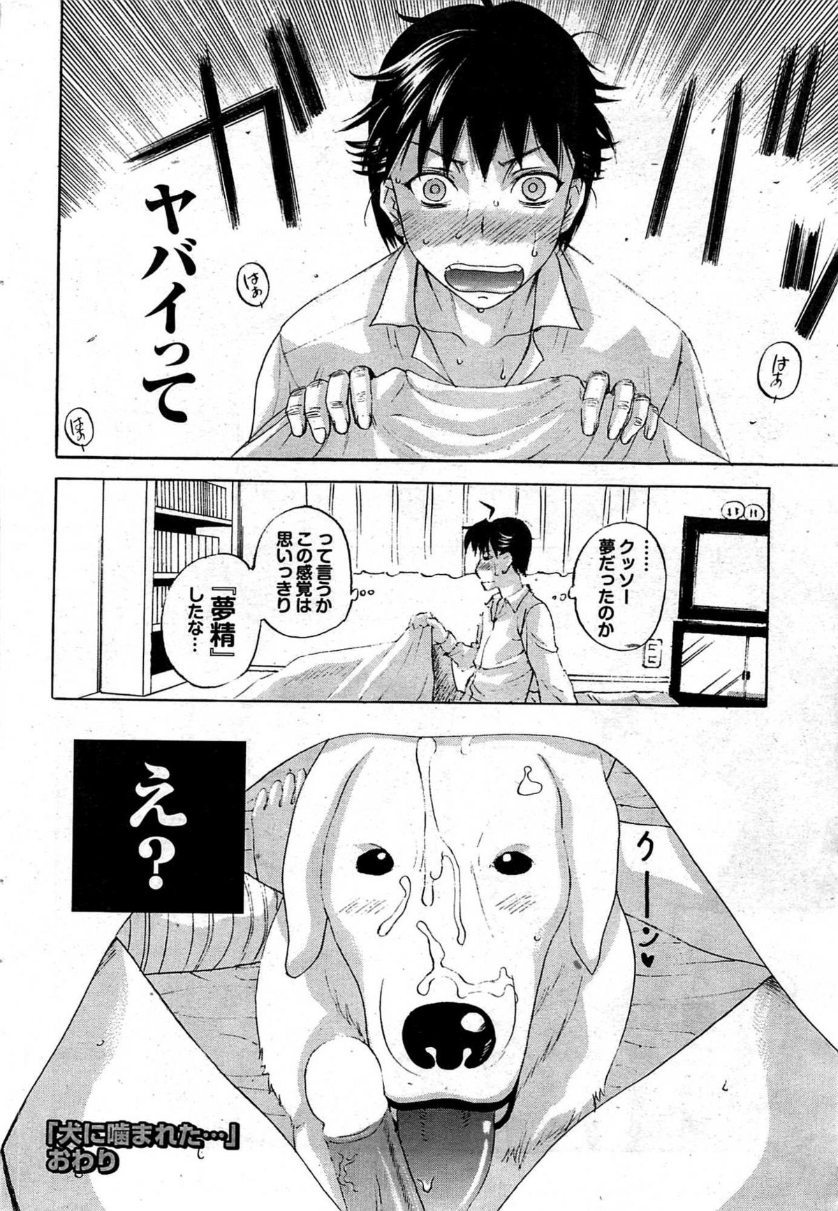 COMIC プルメロ 2007年12月号 vol.12