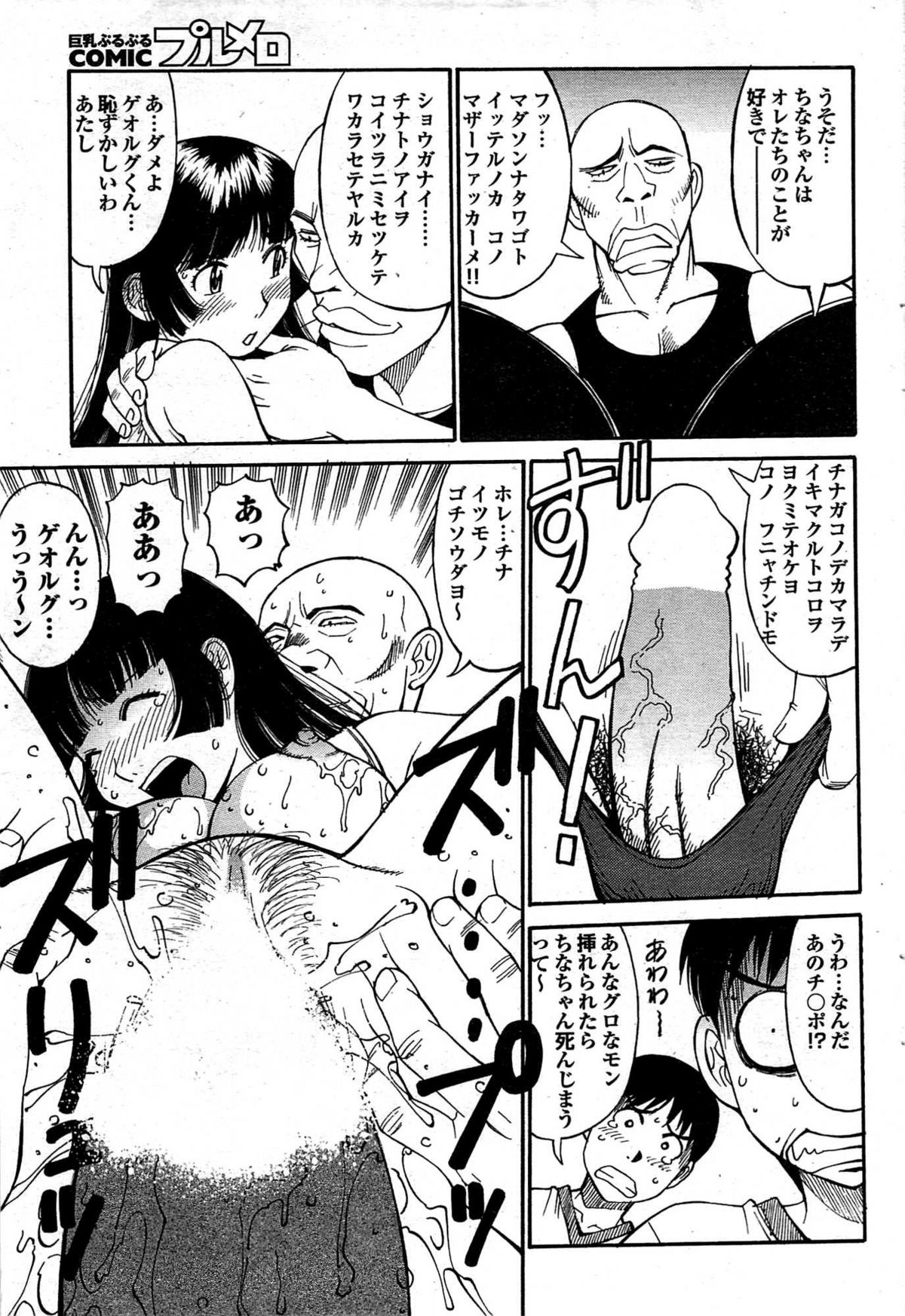 COMIC プルメロ 2007年12月号 vol.12