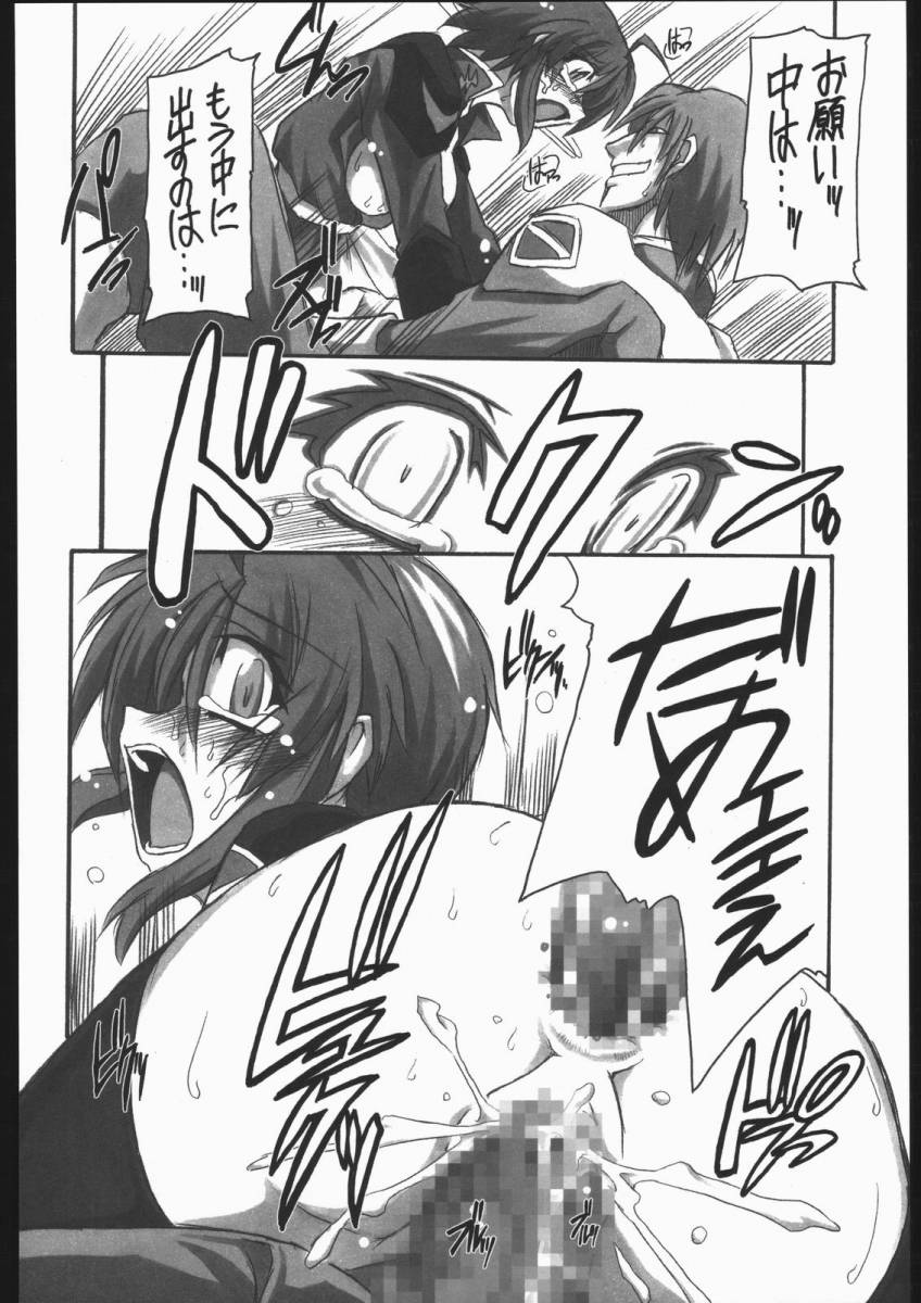 [NNZ団 (グレート魔神)] 可愛さあまって!! (機動戦士ガンダムSEED DESTINY)