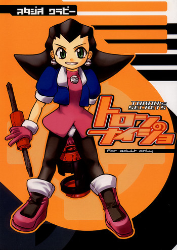 トロンの内翔(トロンの秘密)(ロックマン) トロンの内翔(トロンの秘密)(ロックマン)