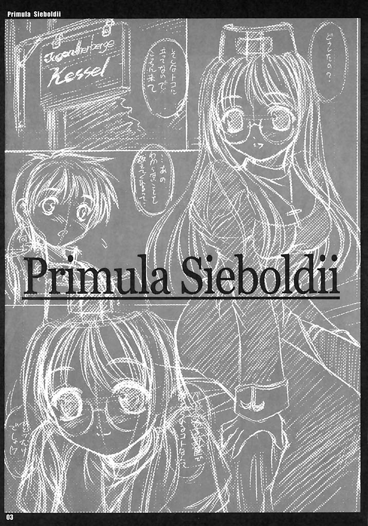 [夜間飛行 (いのうえとみい)] Primula Sieboldii (ラグナロクオンライン)