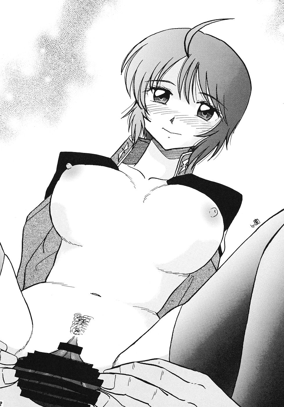 (C68) [スタジオぼくさぁ (嶌隆, 貴)] HOHETO 31 (機動戦士ガンダムSEED DESTINY)