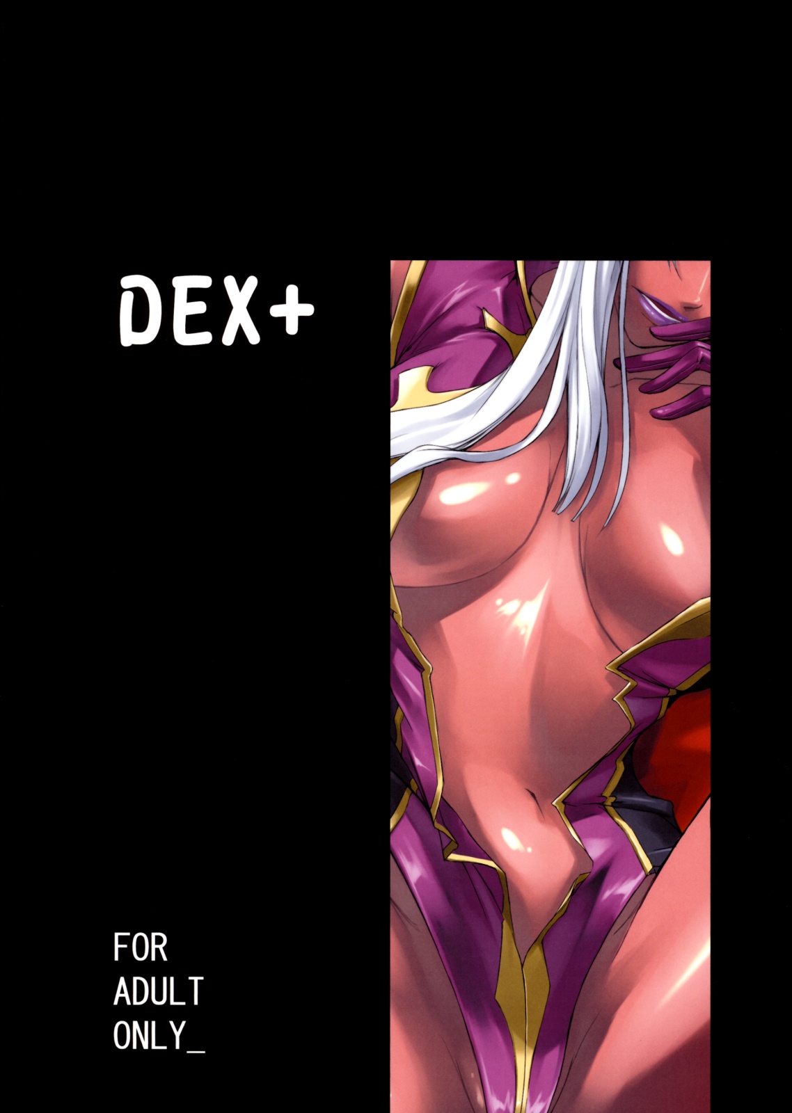 (C75) [DEX+ (中寺明良)] Code Villetta R3 (コードギアス 反逆のルルーシュ)