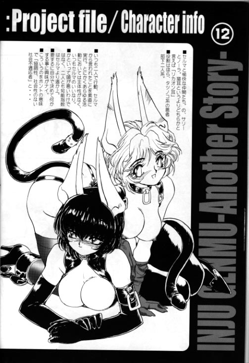 (Cレヴォ29) [HQ's、UNIT-RB (梶山浩)] A WORKS THIRD 淫獣幻夢 Another Story Project File