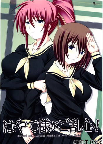 (C75) [ねズみ砦 (くろねズみ)] はやて様がご乱心! (魔法少女リリカルなのは StrikerS)