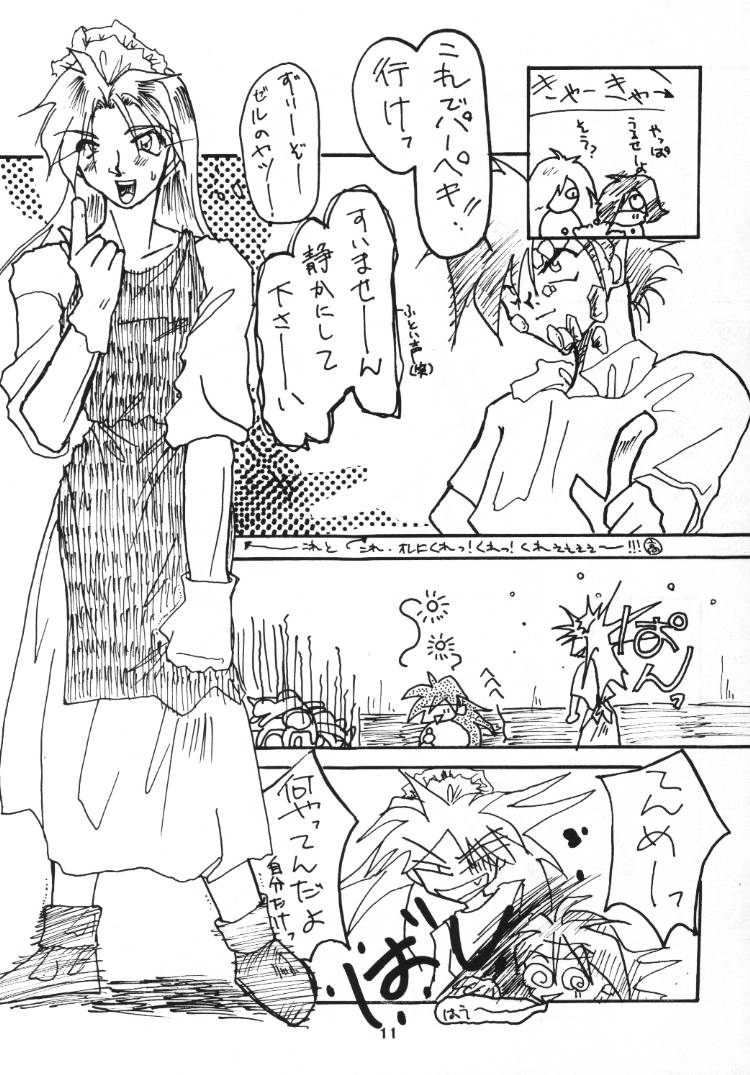 (C48) [兄貴が行く] 言語道断 (スレイヤーズ)